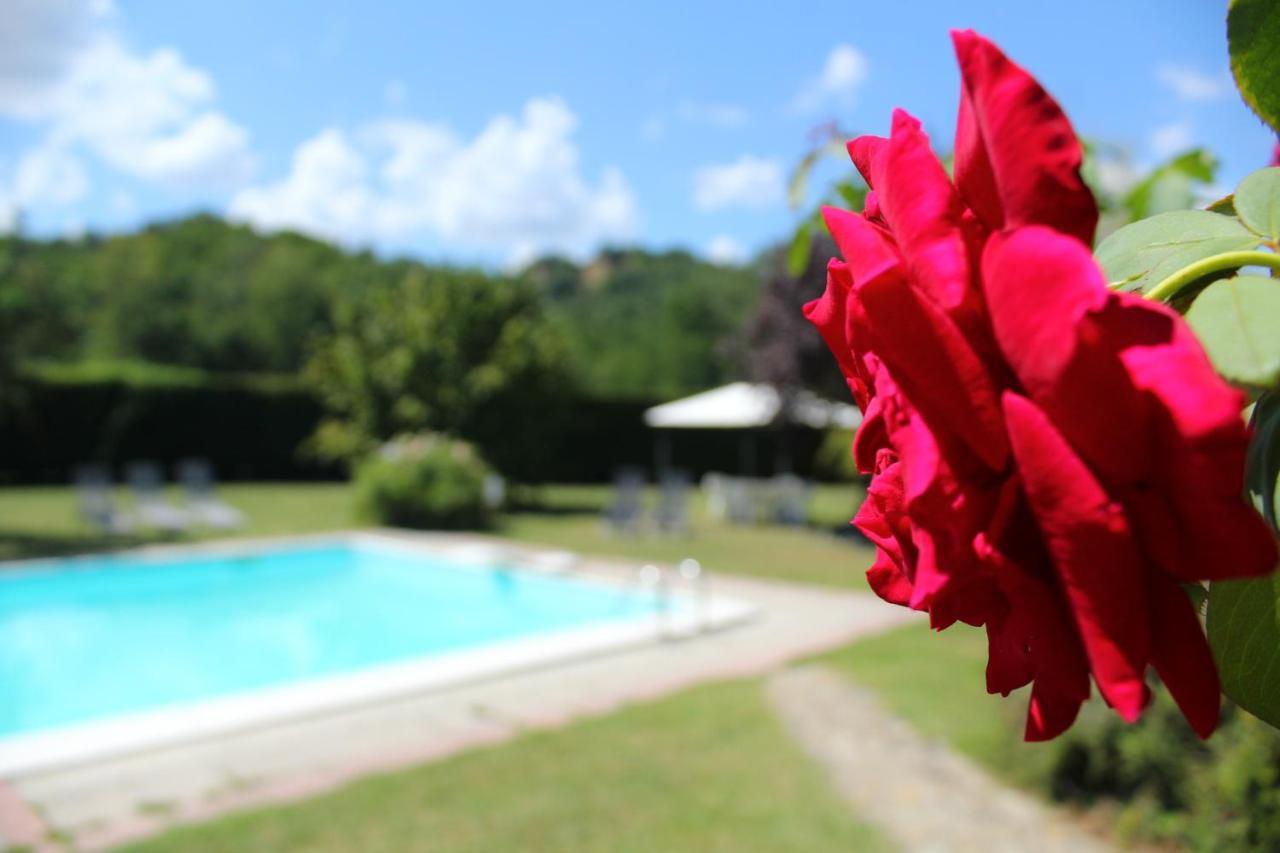Il Casolare Bed & Breakfast Penna Luaran gambar
