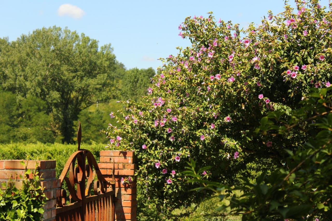 Il Casolare Bed & Breakfast Penna Luaran gambar