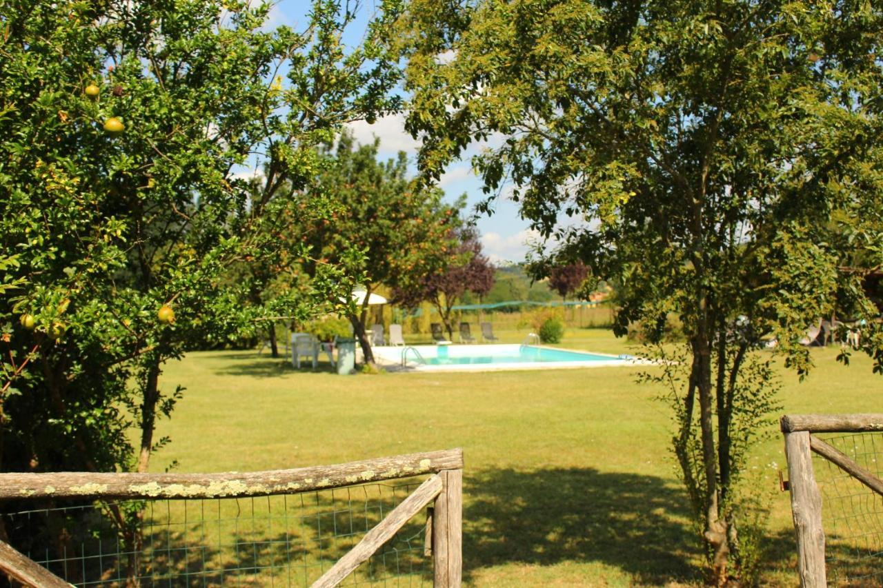 Il Casolare Bed & Breakfast Penna Luaran gambar