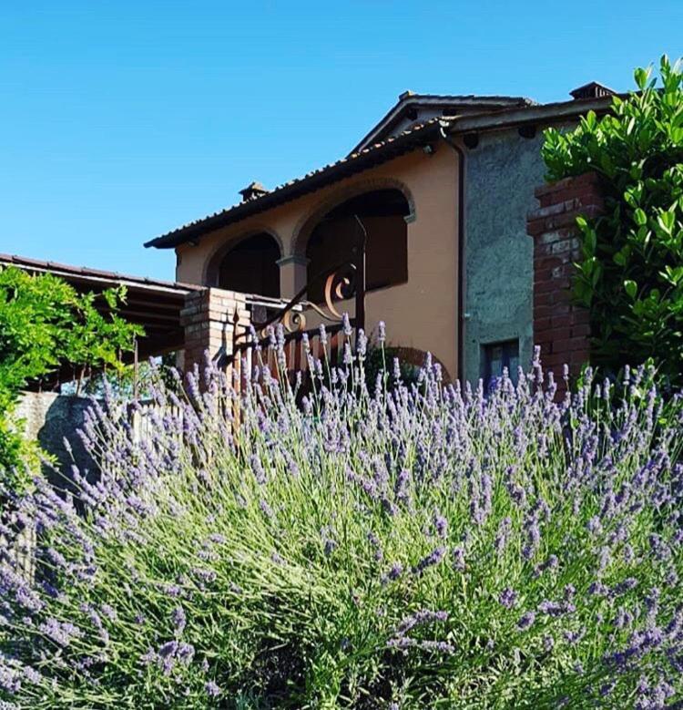 Il Casolare Bed & Breakfast Penna Luaran gambar