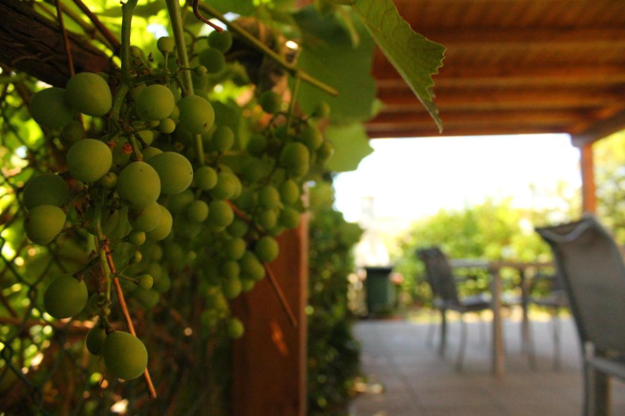 Il Casolare Bed & Breakfast Penna Luaran gambar